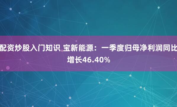 配资炒股入门知识 宝新能源：一季度归母净利润同比增长46.40%
