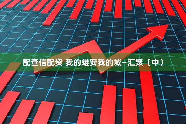 配查信配资 我的雄安我的城—汇聚（中）