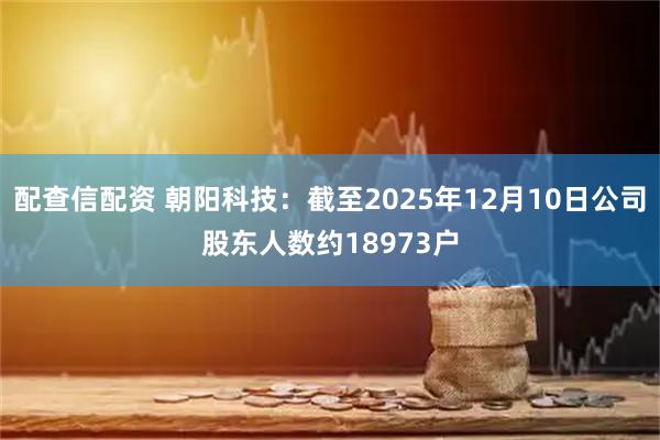 配查信配资 朝阳科技：截至2025年12月10日公司股东人数约18973户